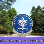 Universitas Kedokteran Hewan Terbaik di Indonesia
