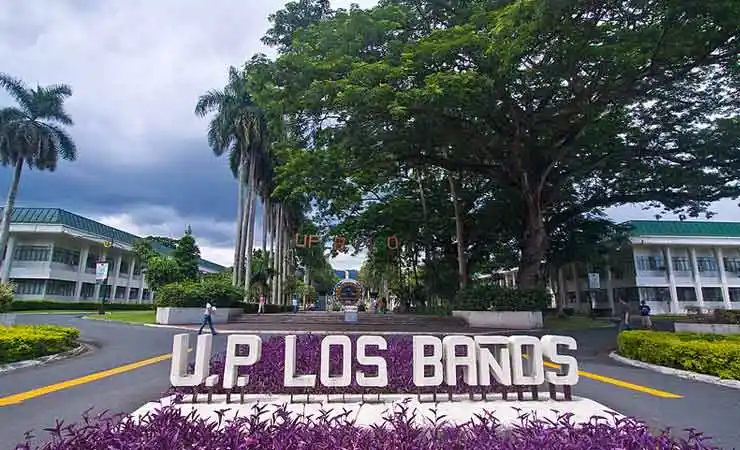 University Filipina Los Banos